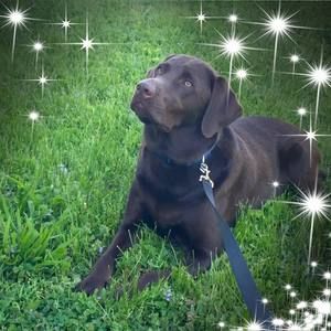 Meet your Posher, Debra